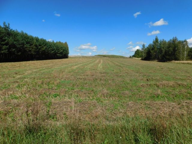 Działka rolna Galów Zagosiek. Zdjęcie 2