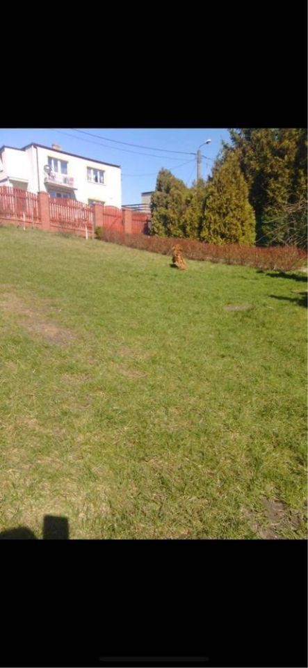 Działka budowlana Kisielice, ul. Kwiatowa. Zdjęcie 2