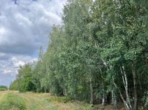 Działka Jedlińsk, ul. Malików. Zdjęcie 4