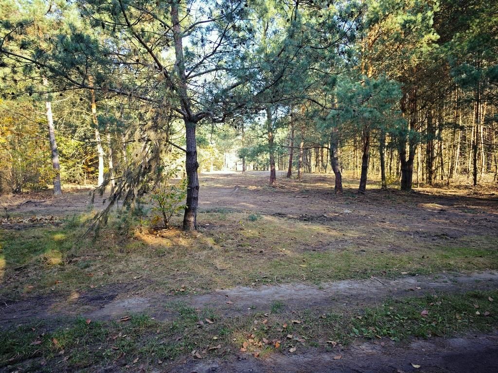 Działka budowlana Wierzchosławice Szujec. Zdjęcie 6