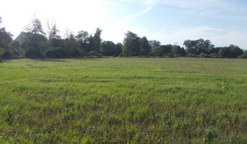 Działka siedliskowa Sapałówka