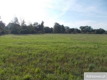 Działka siedliskowa Sapałówka. Zdjęcie 1