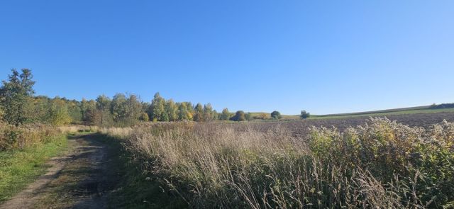 Działka rolna Kuraszków. Zdjęcie 3