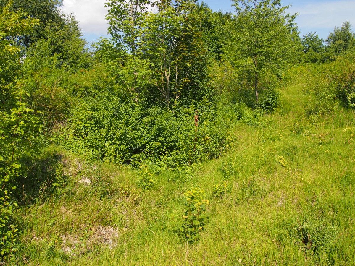 Działka rekreacyjna Śladów. Zdjęcie 13