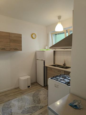 Mieszkanie 2-pokojowe Poznań Grunwald, ul. Macieja Palacza. Zdjęcie 8