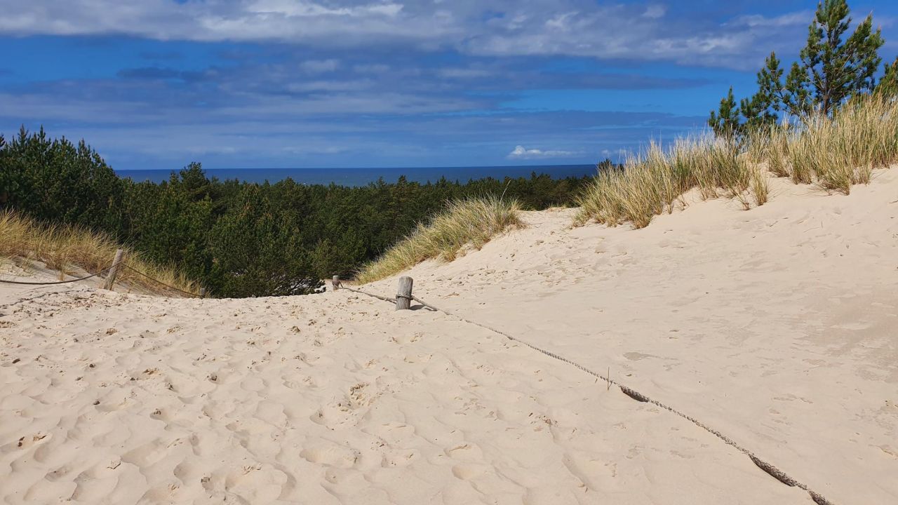 Działka rolno-budowlana Łokciowe. Zdjęcie 9
