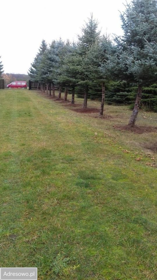 Działka budowlana Żółtki. Zdjęcie 12