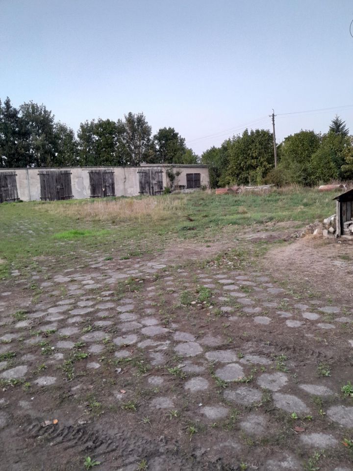 Działka inwestycyjna Zbiczno, ul. Młyńska. Zdjęcie 3