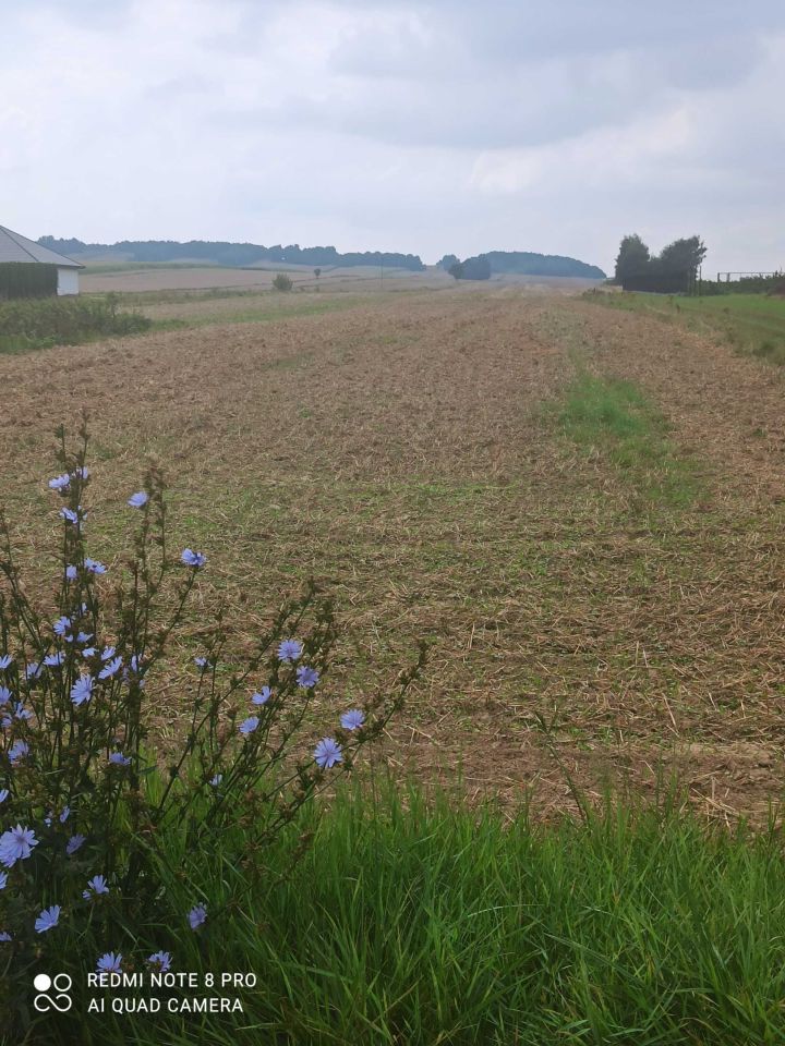 Działka rolna Piotrków Drugi. Zdjęcie 2