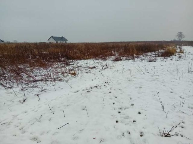 Działka budowlana Gwiazdowo. Zdjęcie 1