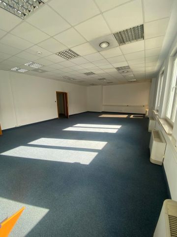 Lokal Wrocław Stare Miasto, pl. marsz. Józefa Piłsudskiego. Zdjęcie 1