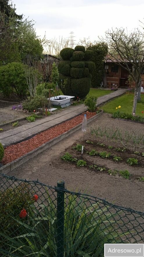 Działka rod Gorzów Wielkopolski, ul. Myśliborska. Zdjęcie 9