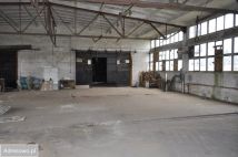 Hala/magazyn Płośnica. Zdjęcie 3