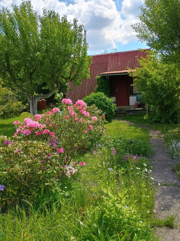 Działka rekreacyjna Lubin