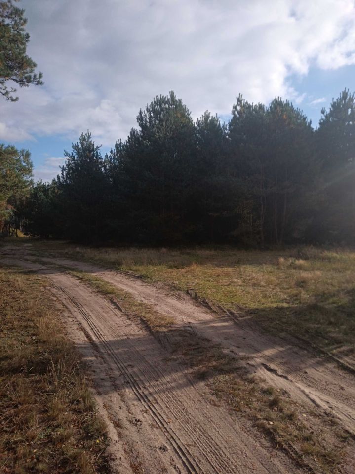 Działka rolna Osie. Zdjęcie 6