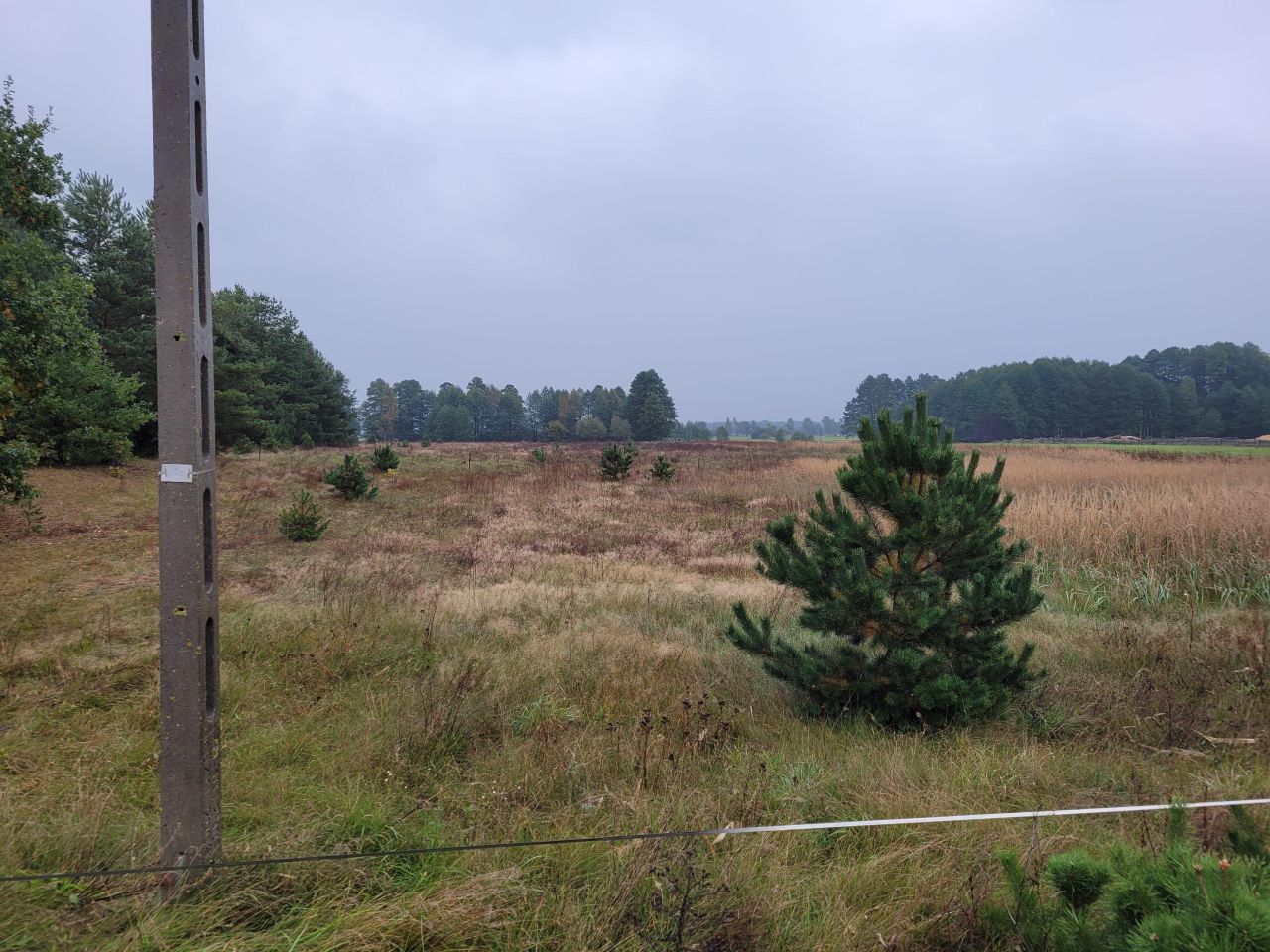 Działka rolna Gnaty. Zdjęcie 2