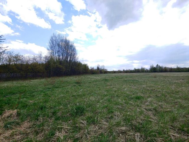 Działka inwestycyjna Wrocław Psie Pole, ul. Strażacka. Zdjęcie 1