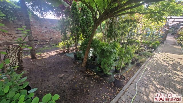 Lokal Włocławek Centrum. Zdjęcie 24