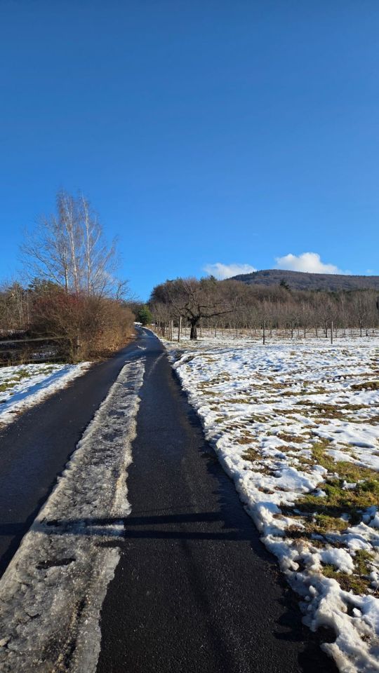Działka siedliskowa Sady. Zdjęcie 6