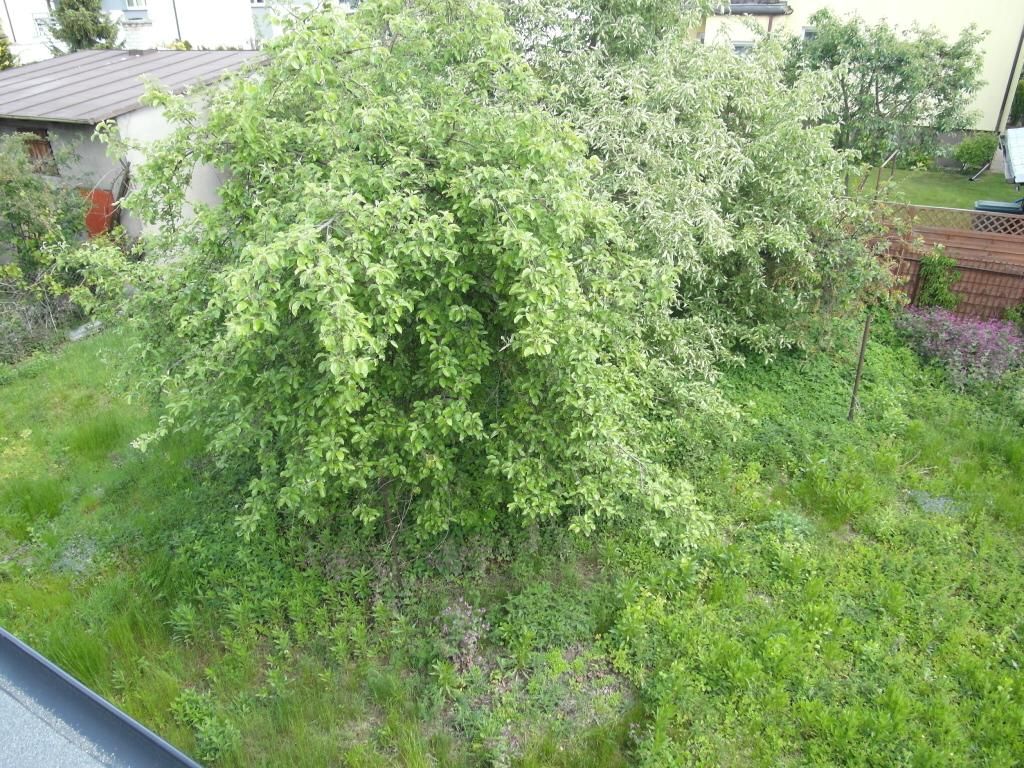 dom wolnostojący, 6 pokoi Białystok Starosielce, ul. Rumuńska. Zdjęcie 18