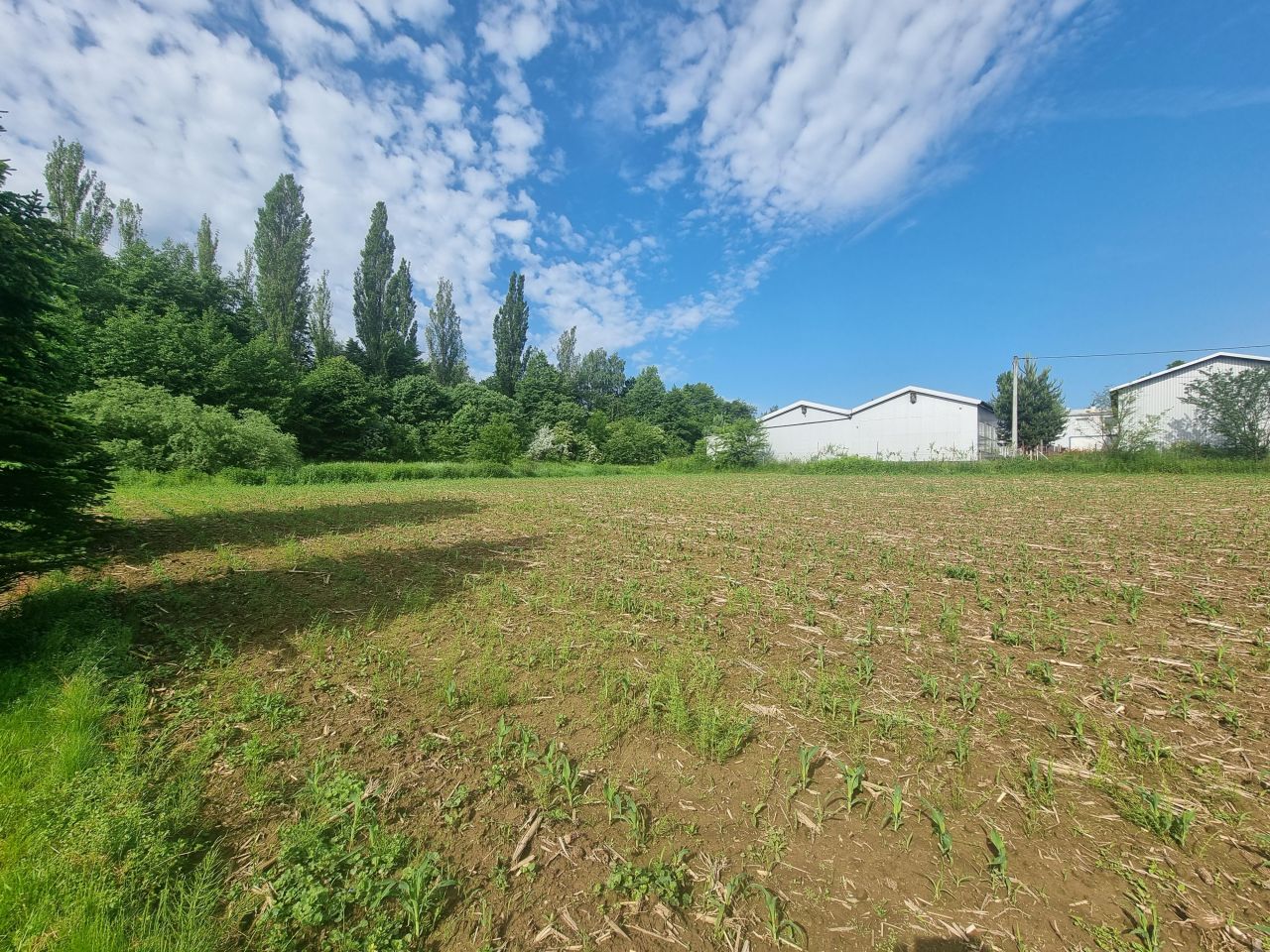 Działka inwestycyjna Jastrzębie-Zdrój Bzie Górne, ul. Pszczyńska. Zdjęcie 10