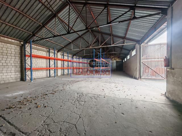 Hala/magazyn Mińsk Mazowiecki Nowe Miasto. Zdjęcie 2