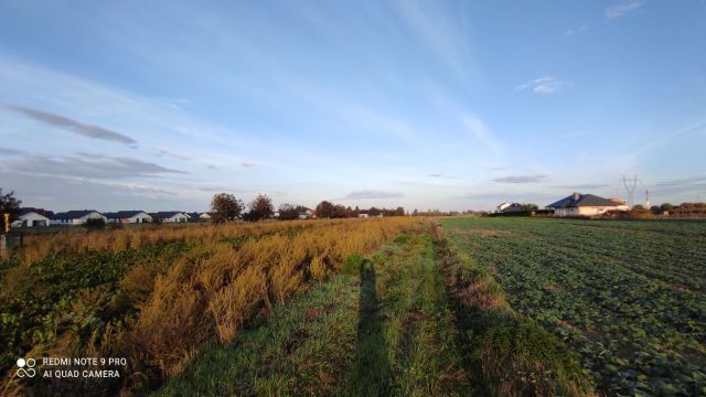 Działka budowlana Wólka Panieńska. Zdjęcie 1