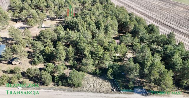 Działka budowlana Stara Kiszewa. Zdjęcie 5