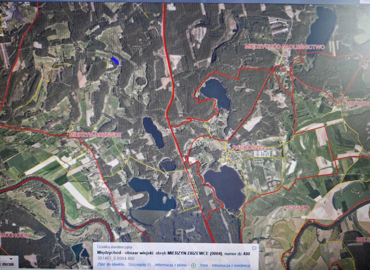 Działka rolna Drzewce. Zdjęcie 3