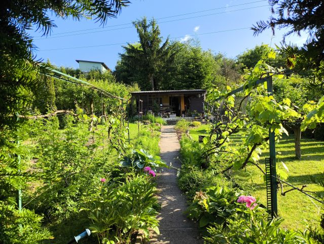 Działka rod Chełmno, ul. Przemysłowa. Zdjęcie 1