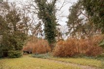 Działka inwestycyjna Konstancin-Jeziorna. Zdjęcie 4