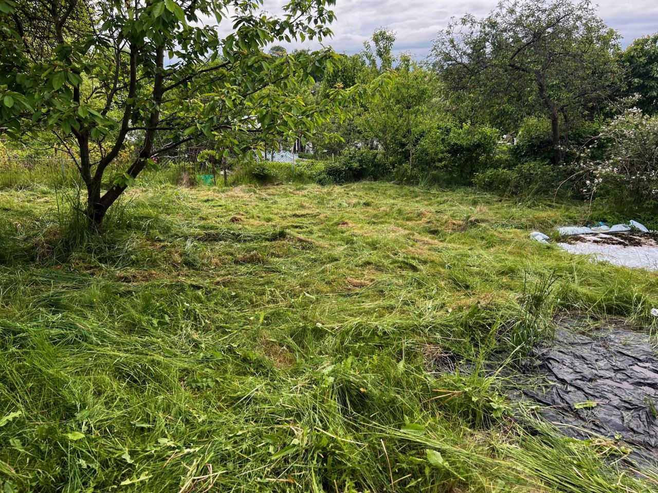 Działka rod Elbląg, ul. Działkowa. Zdjęcie 10