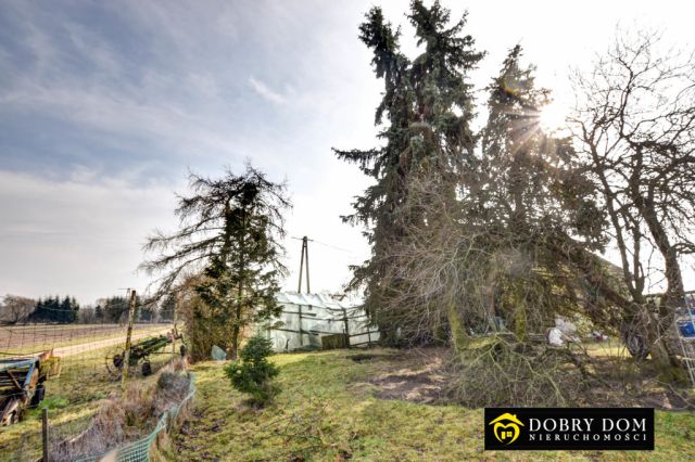 dom wolnostojący, 3 pokoje Nurzec-Stacja. Zdjęcie 10