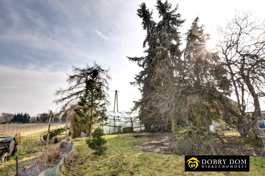 dom wolnostojący, 3 pokoje Nurzec-Stacja. Zdjęcie 10