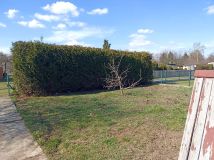 Działka rod Gliwice Sośnica. Zdjęcie 2