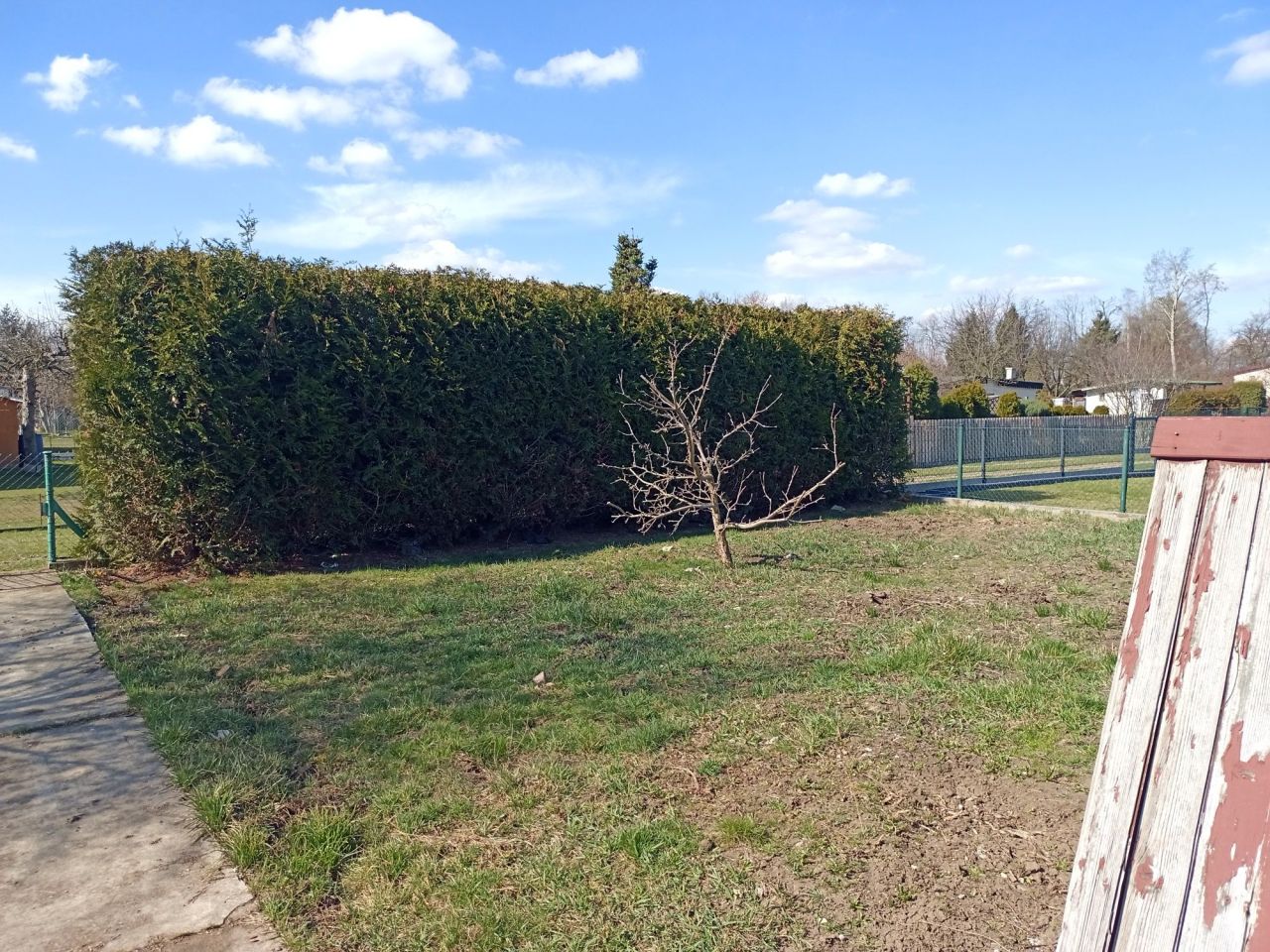 Działka rod Gliwice Sośnica. Zdjęcie 3