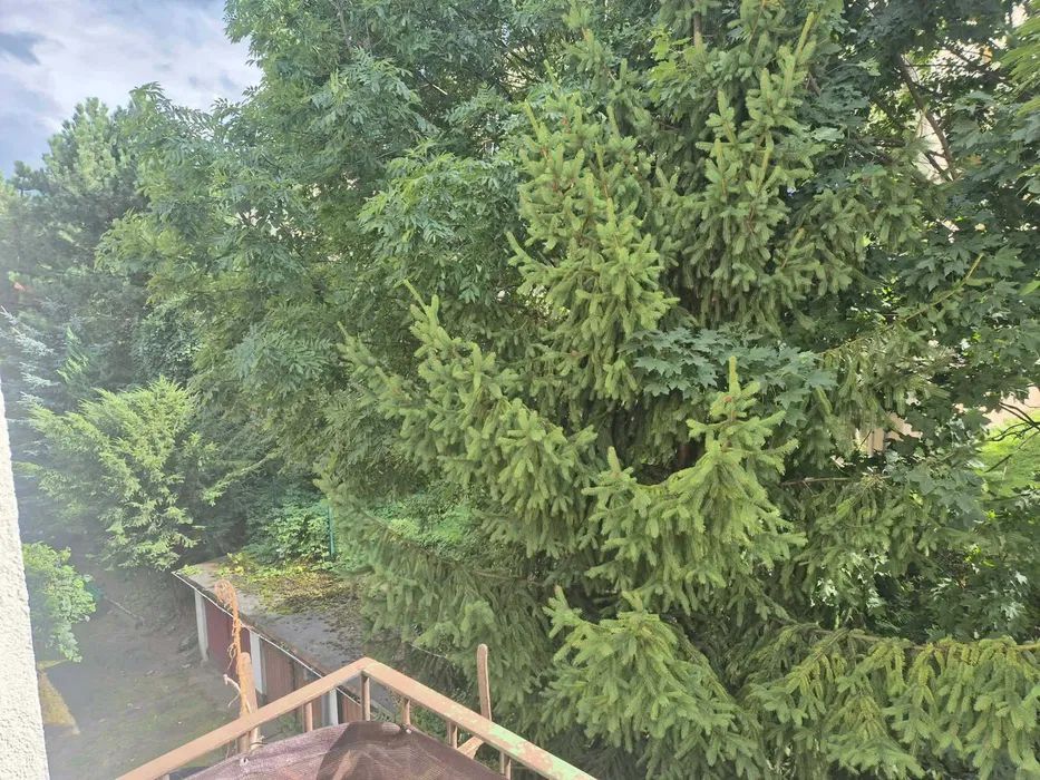 Mieszkanie 2-pokojowe Katowice Śródmieście, ul. Bratków. Zdjęcie 7