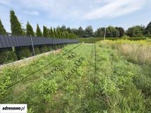 Działka budowlana Rąbień, ul. Fasolowa. Zdjęcie 2