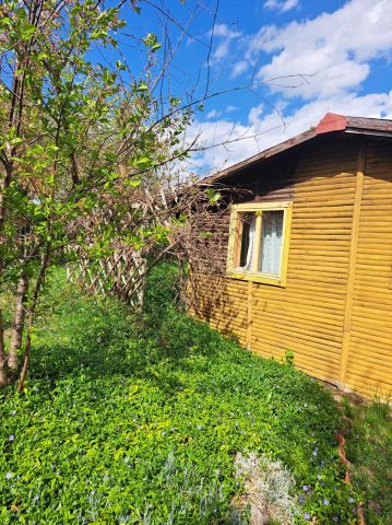 Działka rod Morąg. Zdjęcie 1