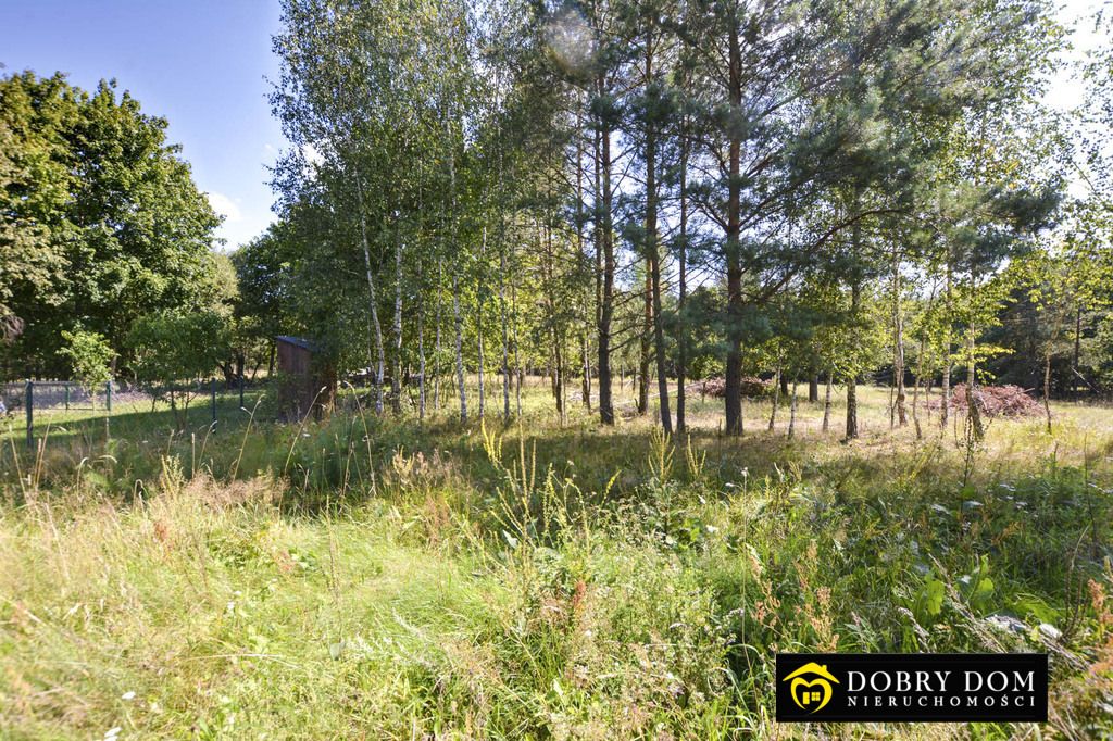 siedlisko, 2 pokoje Opaka Duża. Zdjęcie 12