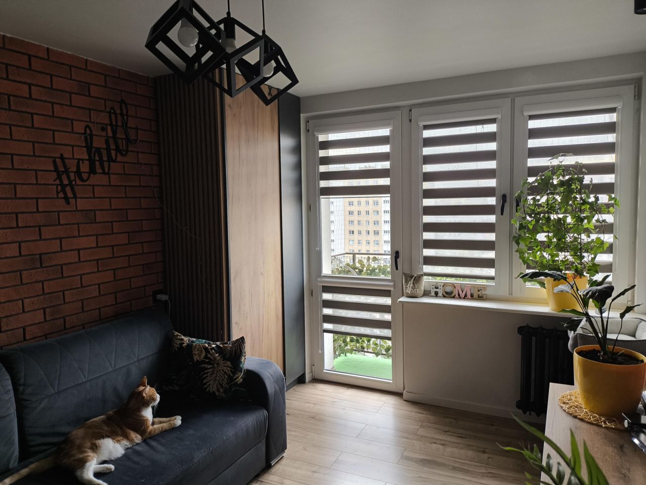 Mieszkanie 2-pokojowe Kielce Czarnów, ul. Hoża. Zdjęcie 3