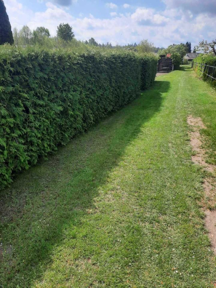 Działka rod Jastrowie, ul. Mickiewicza. Zdjęcie 2