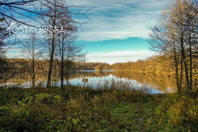 dom wolnostojący Lasowiec. Zdjęcie 38
