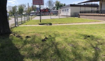 Lokal Ruda Strawczyńska