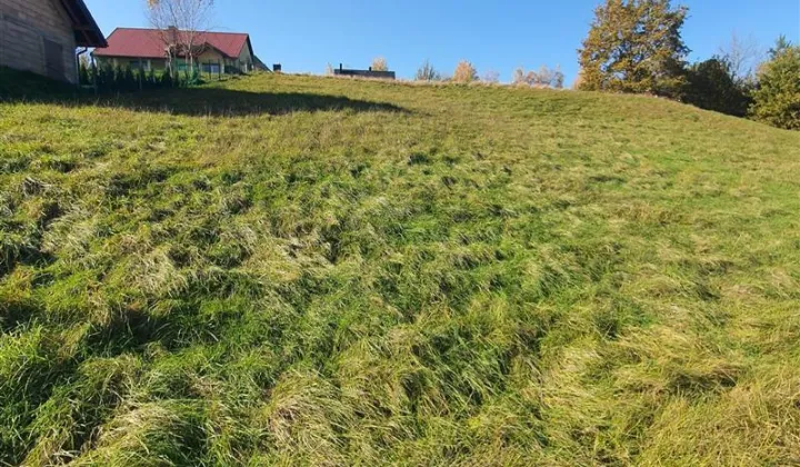 Działka budowlana Bartkowa-Posadowa