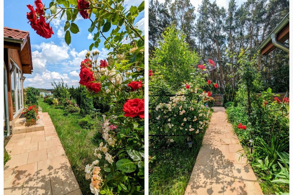 dom wolnostojący Słonin. Zdjęcie 5