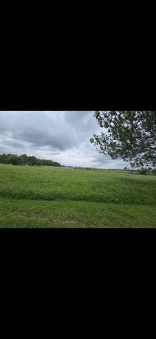 Działka rolna Strzałkowo. Zdjęcie 1