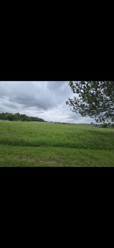 Działka rolna Strzałkowo