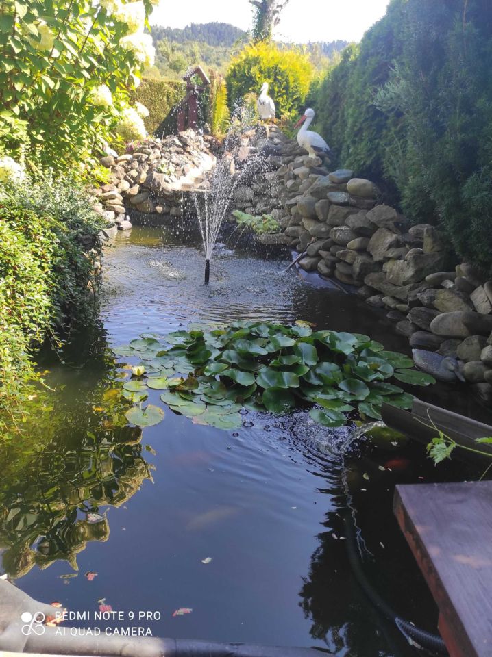 Działka rod Żywiec. Zdjęcie 3