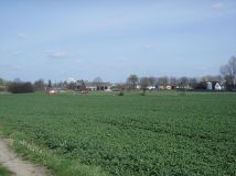 Działka inwestycyjna Browina. Zdjęcie 4